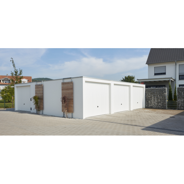 schwingtor_motiv902_9016