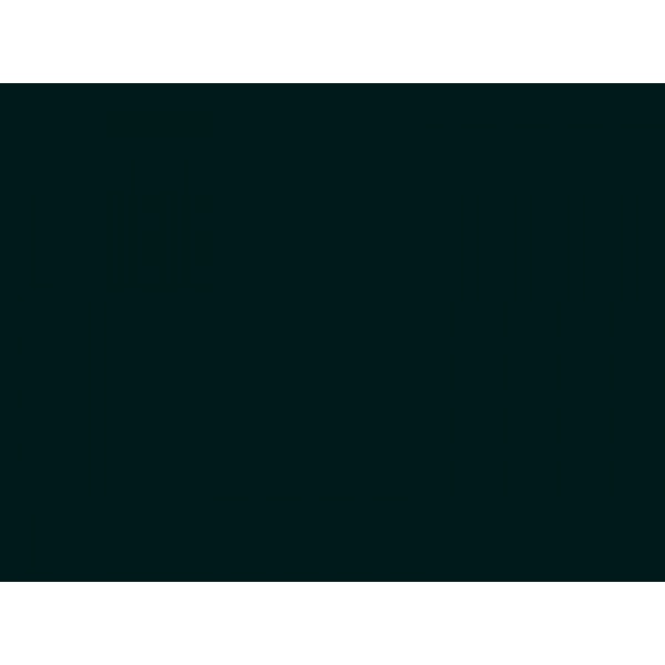 woodgrain_ral9005_tiefschwarz
